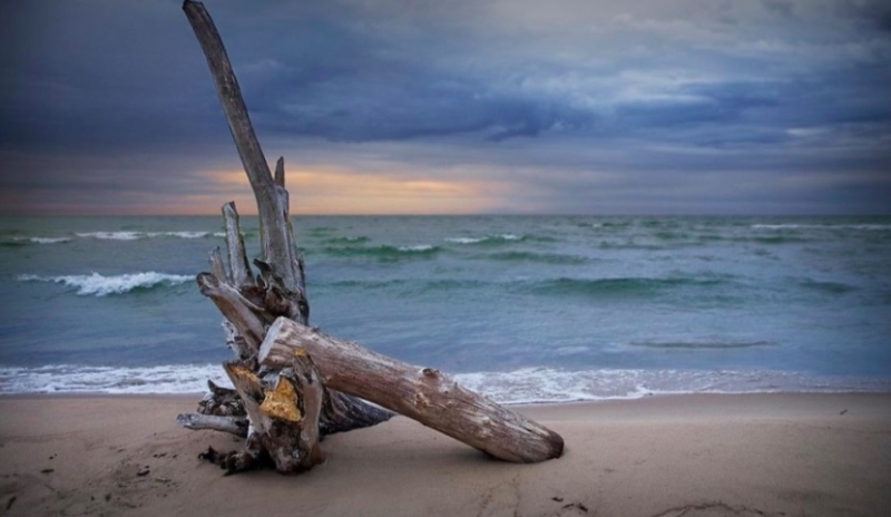 Rustic and Cozy Lake Huron - 1 Bedroom Cabin